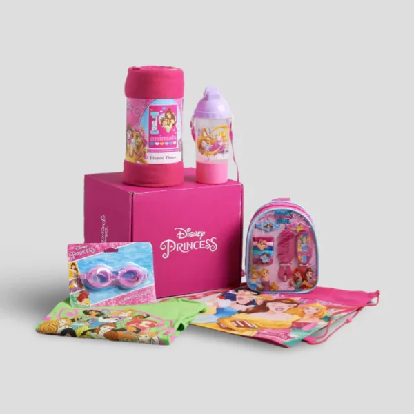 Disney Subscription Box