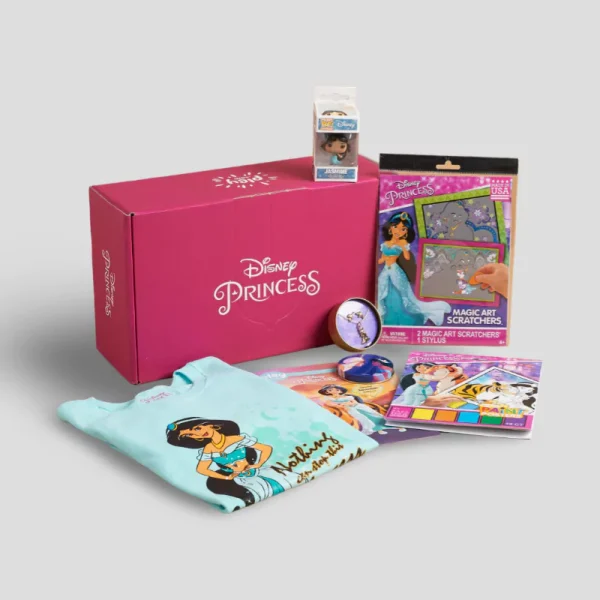 Disney Subscription Box - Image 4